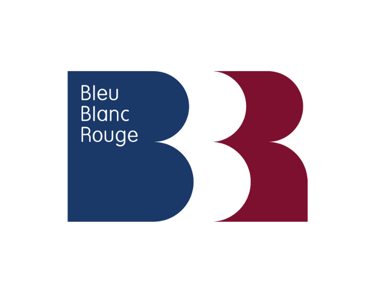 Bleu Rouge Logo 41+ Creative Blue Logos Of Popular Brands